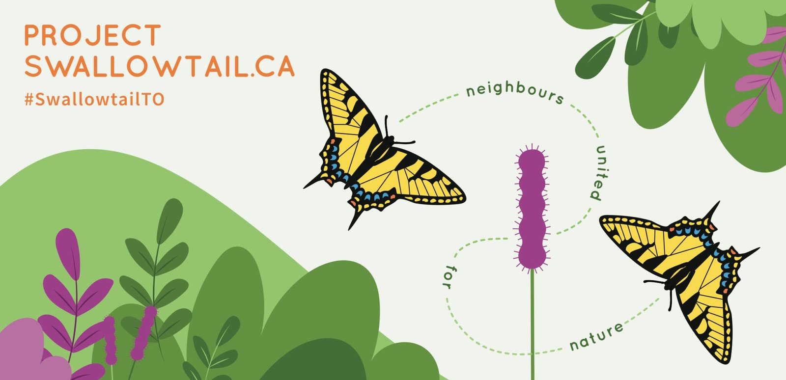 Project Swallowtail – Neighbours united for nature